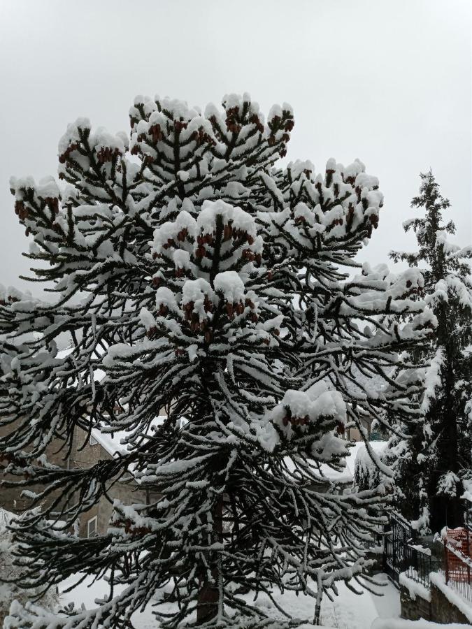 Bed and Breakfast Il Giardino Di Cres Esino Lario Exterior foto
