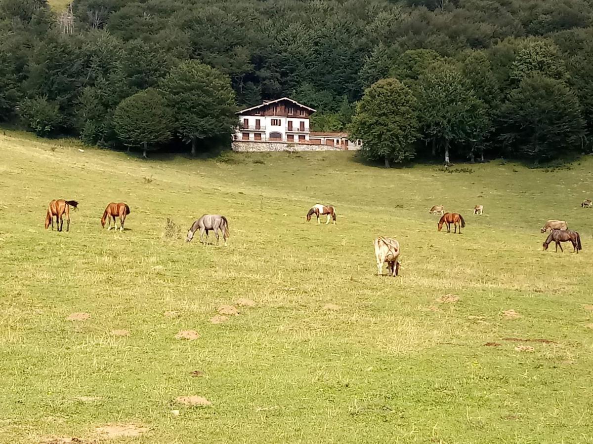 Bed and Breakfast Il Giardino Di Cres Esino Lario Exterior foto